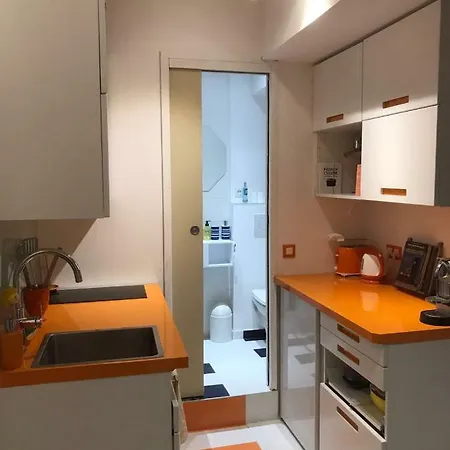 Vieux Apartment Nice